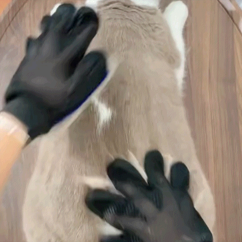 Gants de Toilettage FluffOff™ (x2)