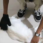 Gants de Toilettage FluffOff™ (x2)