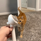 Brosse de Toilettage FluffOff™