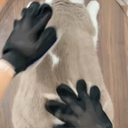 Pack Maître Heureux FluffOff™