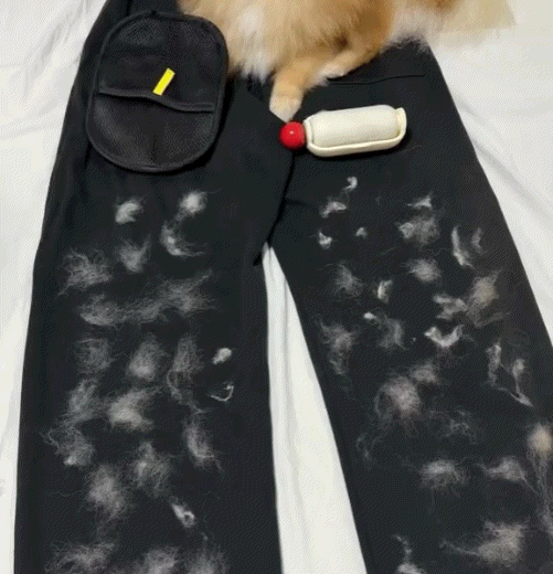 Kit de Toilettage Aspirant FluffOff™